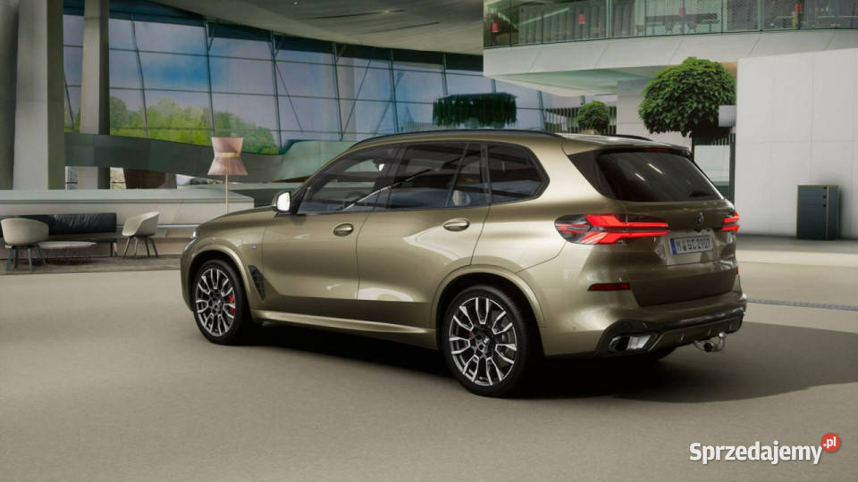 BMW X5 X5 xDrive30d Dostępne ręki G05 2018 Łódź