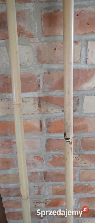 Stelaż podpora do pomidorów bambusowy kijek 180 Zagnańsk