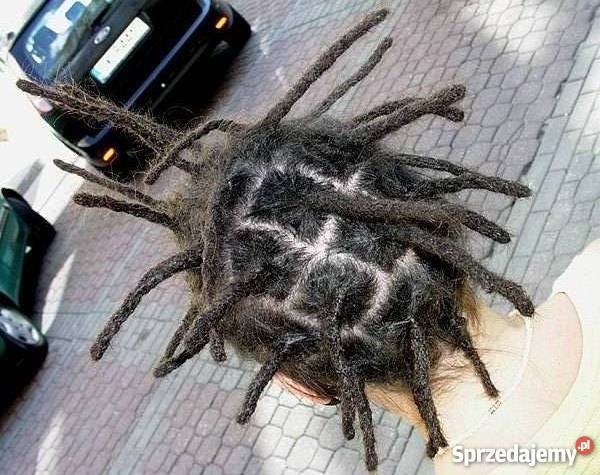 Dready dredy dredloki warkoczyki afrykańskie