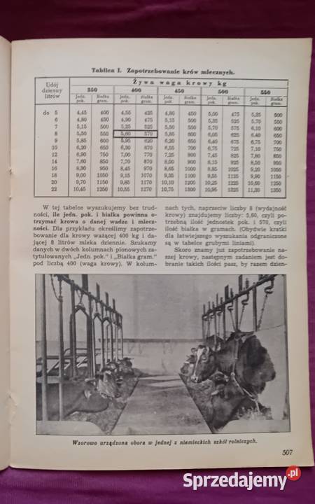 Miesięcznik Plon 12 z 1937 r IV Antykwariat Koźminek sprzedam