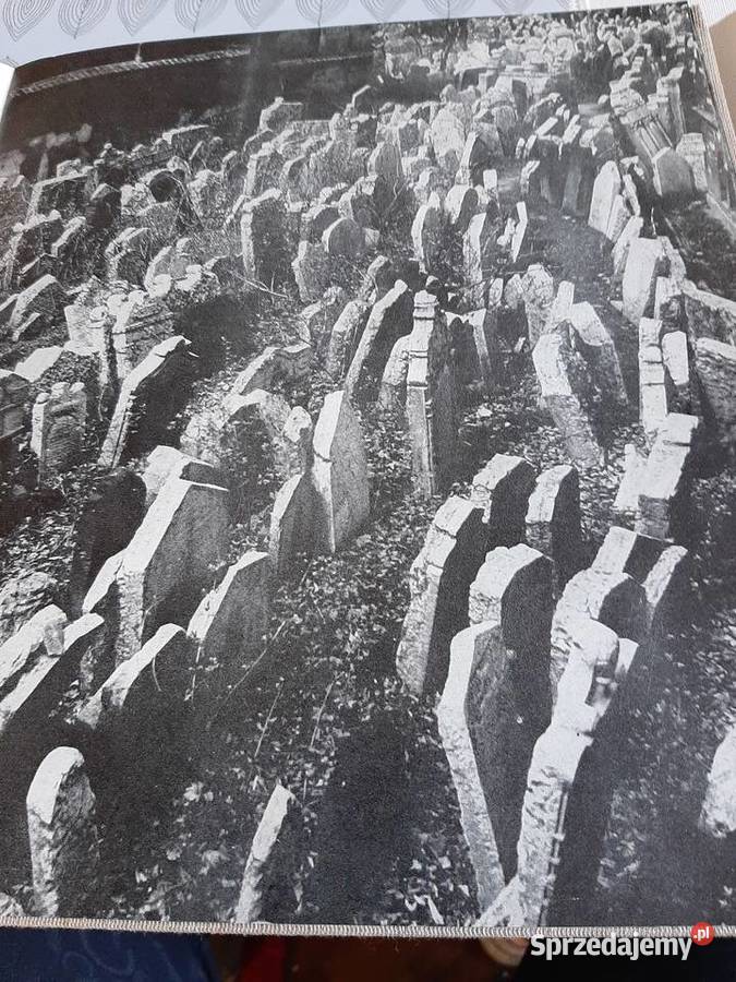 Der alte jdische Friedhof in Prag Stronie Śląskie
