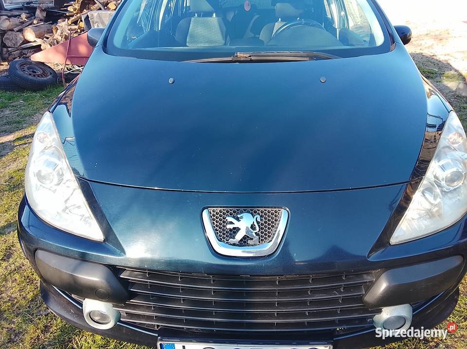 peugeot 307sw16hdi diesel Kamień-Kolonia sprzedam