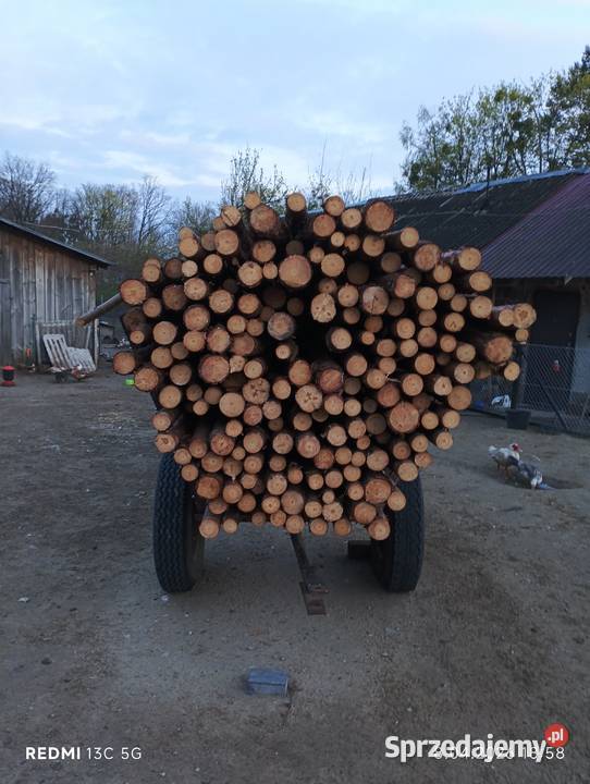 Stemple budowlane sosnowe 3m duże ilości stała Wielkie Oczy sprzedam