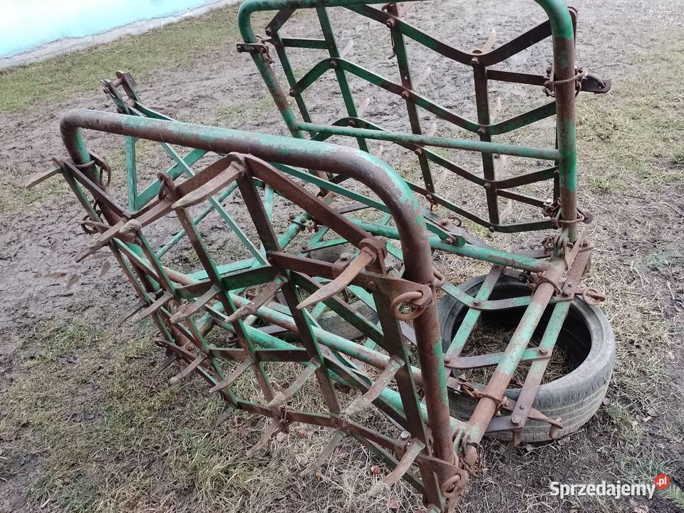 Sprzedam brony ciężkie Brony małopolskie Jastrzębia
