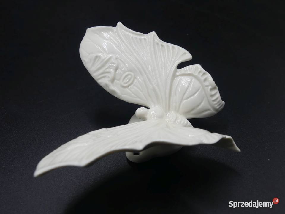 Piękny niespotykany biały motyl Karl Ens Poznań sprzedam