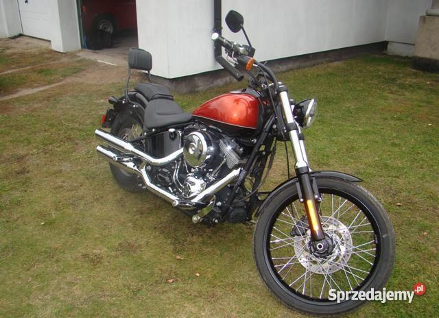 Harley Davidson Fxs Blackline Softail pas napędowy Harley-Davidson Czersk