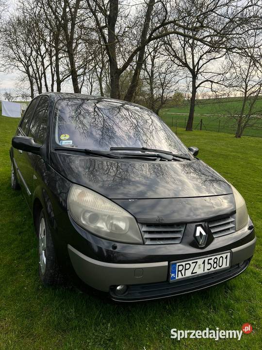 Renault Scenic II podkarpackie Rożniatów