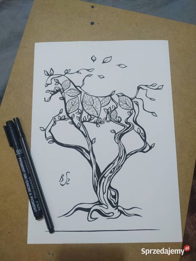 Rysunek koniodrzew cienkopis blok tech A4 250 mazowieckie Warszawa
