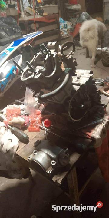 crosss 250 xmotsdIabolini 250