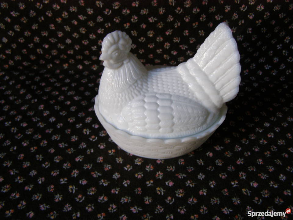 Kura mała lattimo Ząbkowice mazowieckie Międzyborów sprzedam