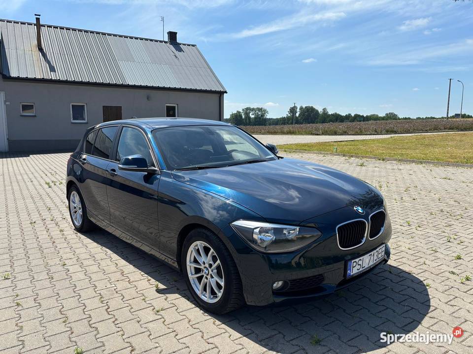 BMW f20 116d 2013r wielkopolskie Słupca