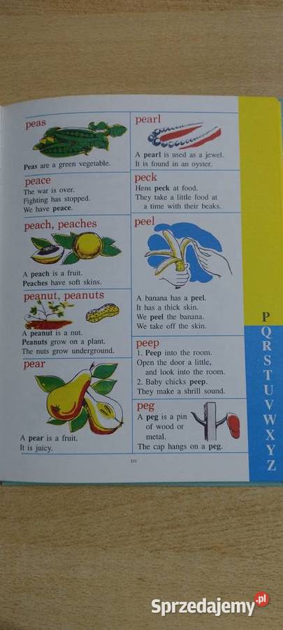 Wielki obrazkowy słownik chłopców i dzewczyn Lublin