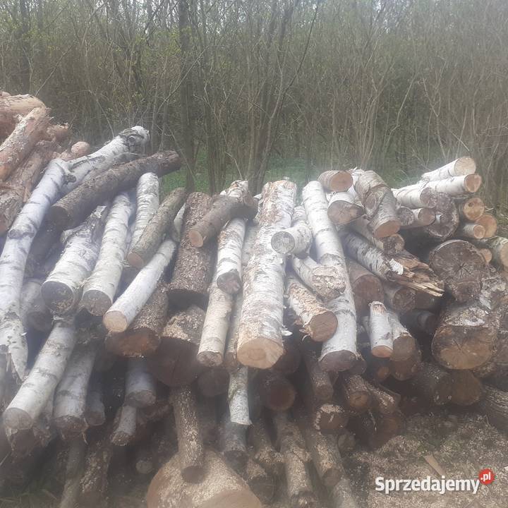 Drewno Sosna czeremcha akacja Opał Lubin