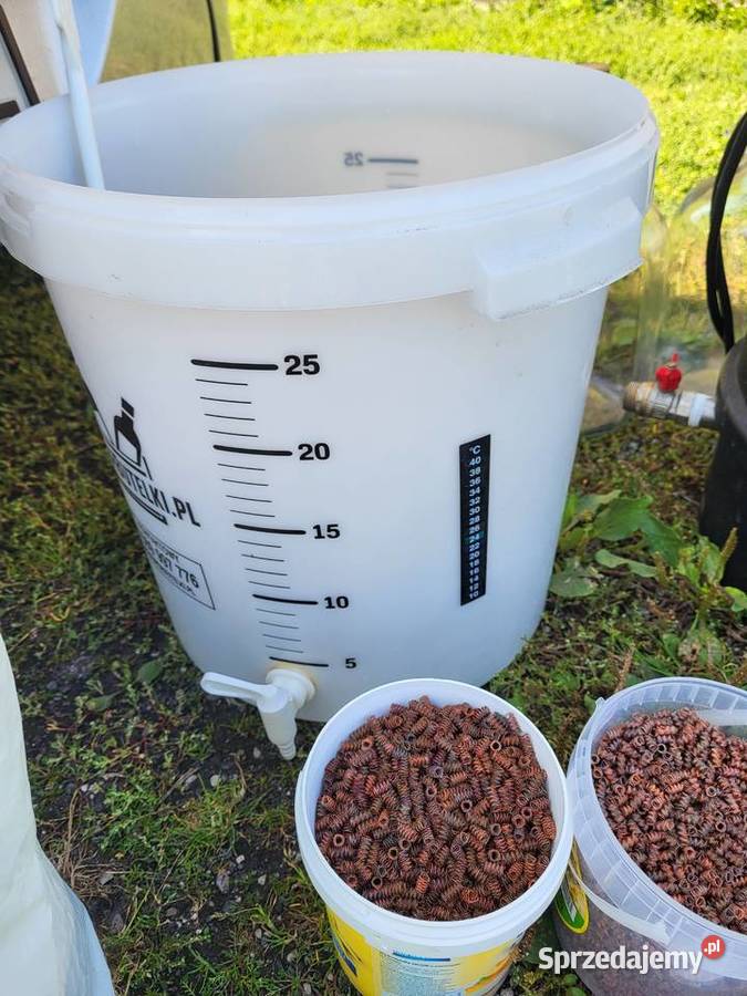 Destylator abratek dodatki kujawsko-pomorskie Rojewo