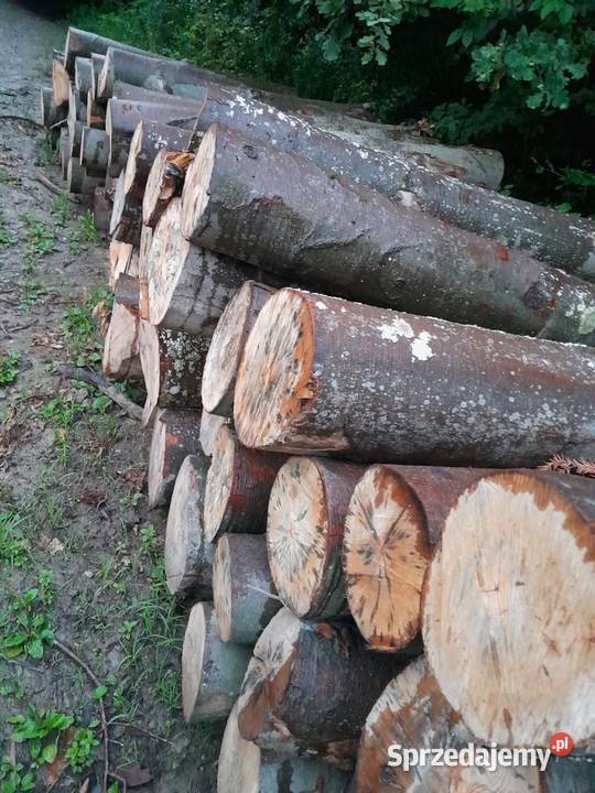 Buk opał transport HDS Wyręby