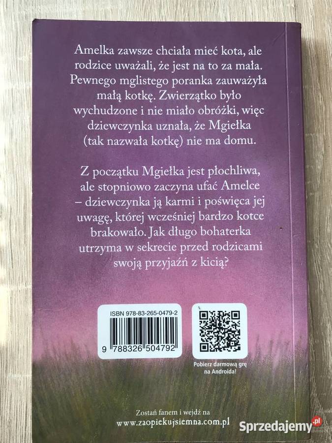 Mgiełka porzucona kotka jm Szczecin