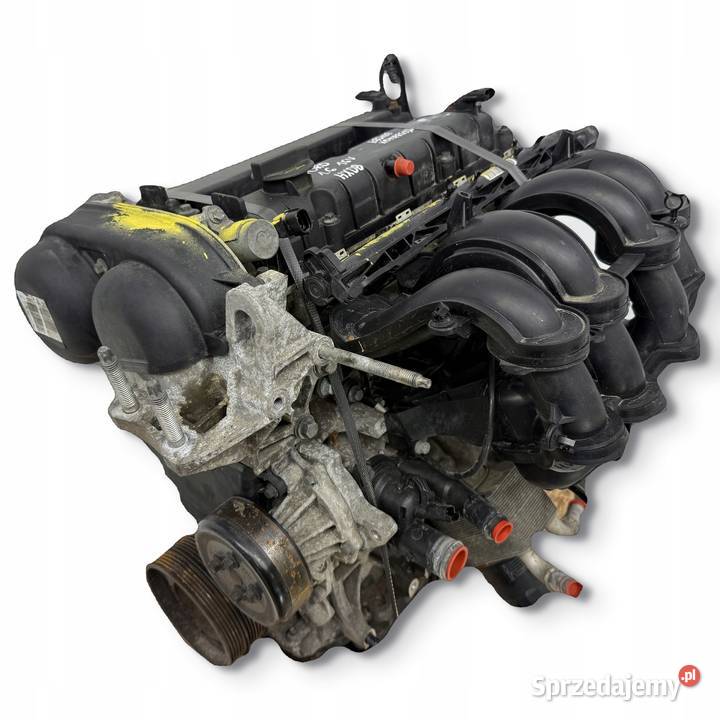 SILNIK HXDA HXDB Ford Focus II MK2 C C 16 16V Ti Chełm