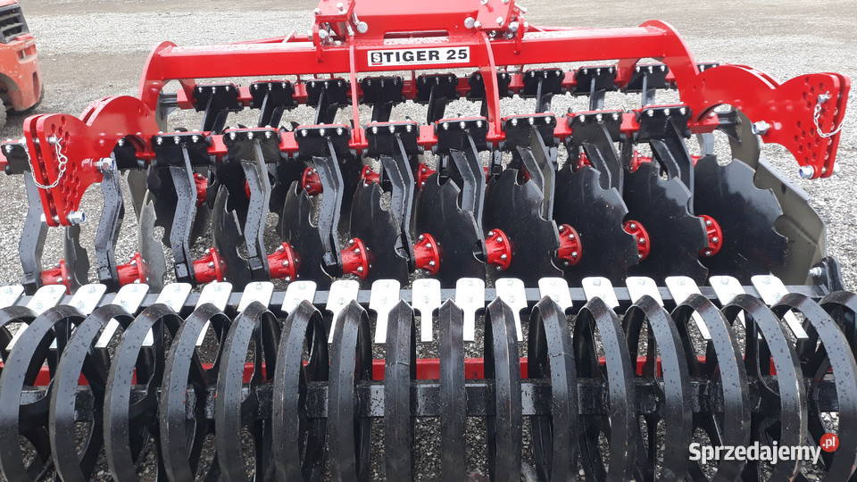 BRONA TALERZOWA TIGER podlaskie Sokółka