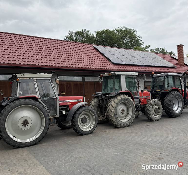 MF 3070 4x4 Ferguson 365 Świeżo sprowadzony Burzenin sprzedam