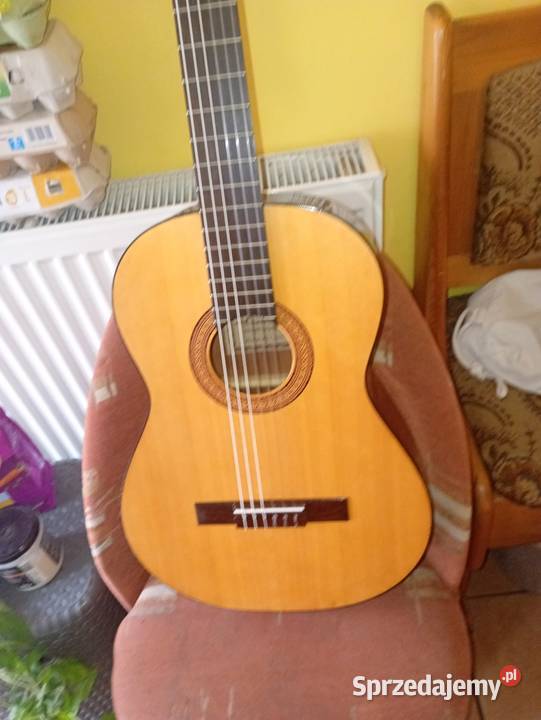 Gitara klasyczna praworęczna Grodków