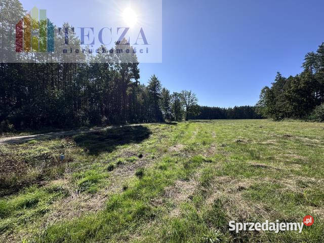Sprzedaż działki Borucza 1800m2 mazowieckie