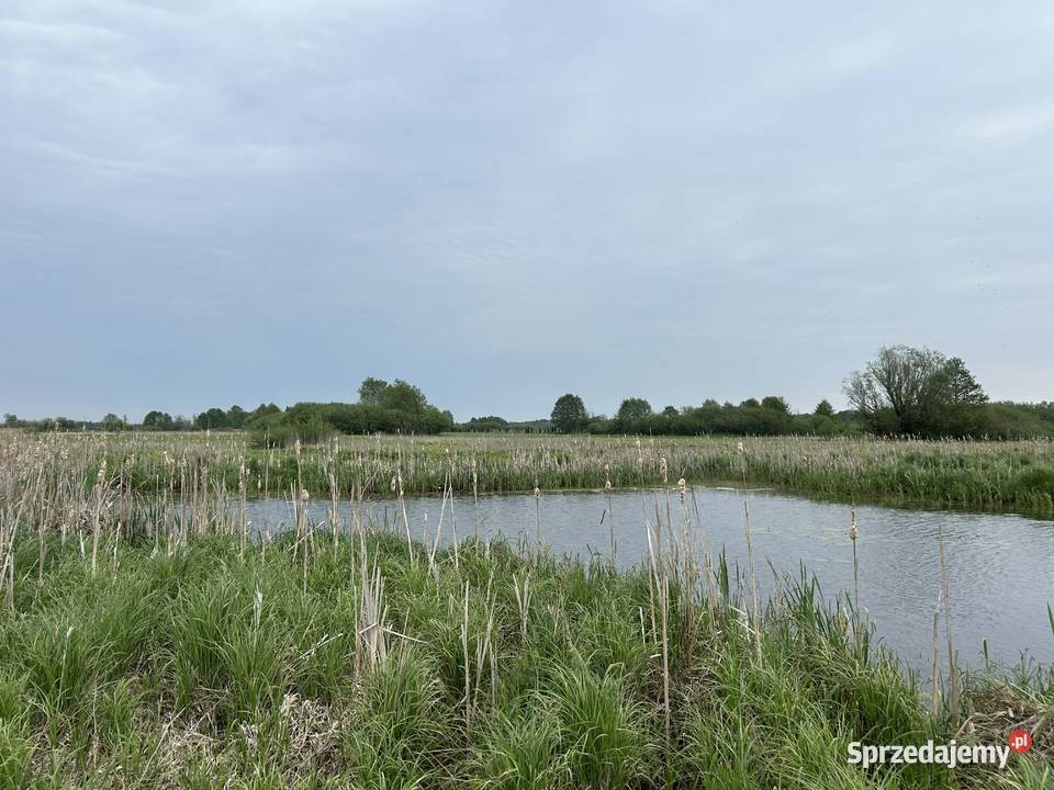 Działka z dostępem do naturalnego stawu 1091 m2 9zł/m2