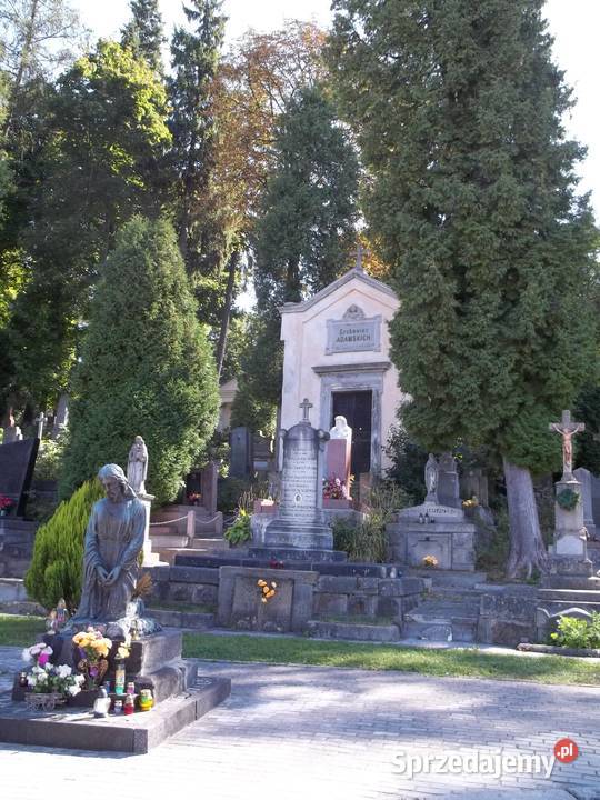 Miejsce na cmentarzu Łódź-Nowosolna bez pochówku.