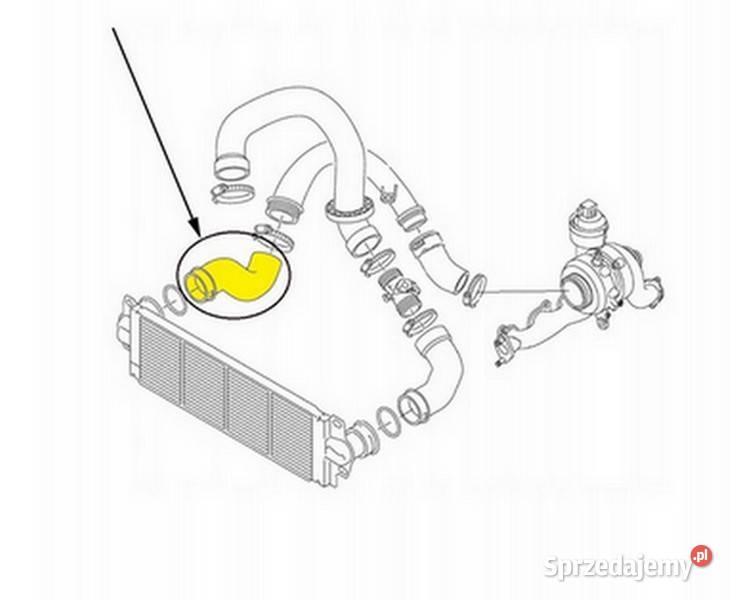 Przewód rura powietrza Turbo intercooler Vw T5 Włocławek