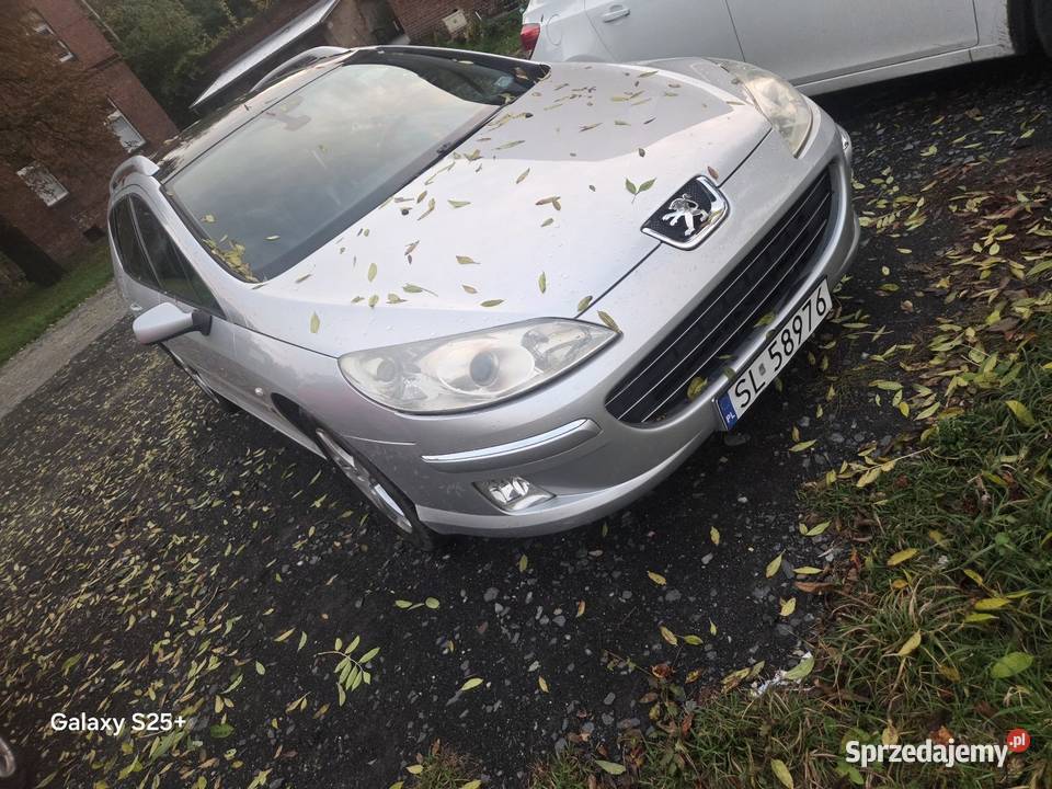Peugeot 407
