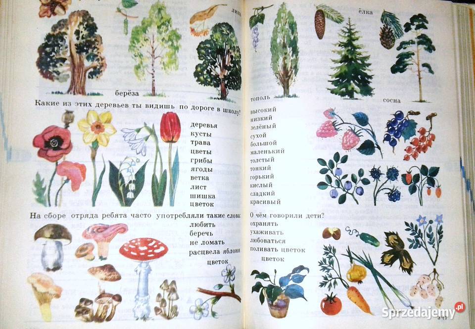 Russkij Jazyk w kartinkach Slowar Język rosyjski Chełm