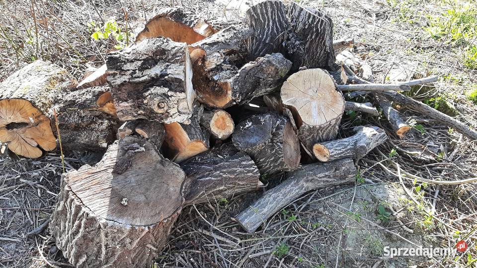 Drewno opałowe podkarpackie Jasło