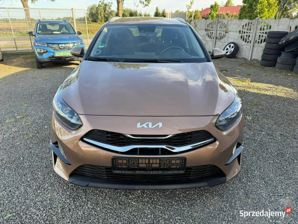 Kia Ceed navi kamera klimatronic gwarancja III system Start-Stop wielkopolskie Zbąszyń