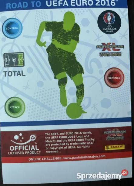 Panini karty piłkarzy Road to Euro 2016 Pozostałe