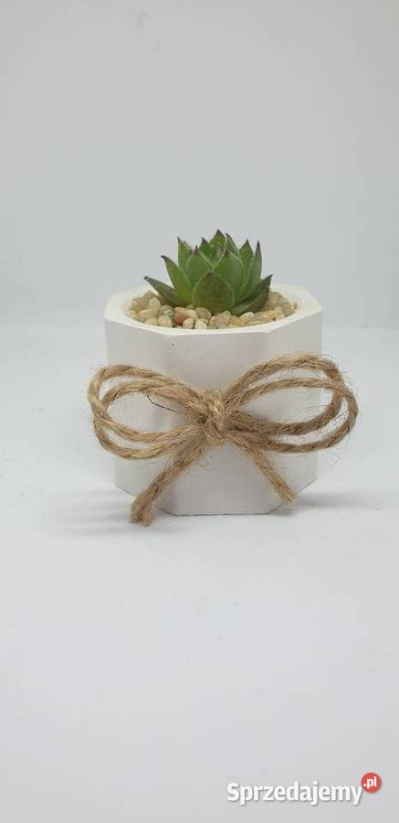 Podziękowania gości Pozostałe Łódź