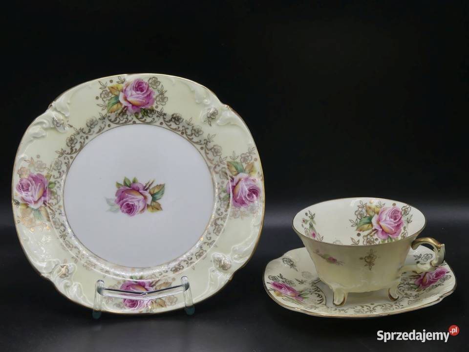 Zjawiskowe różane trio Tułowice Tillowitz 1928 wielkopolskie Poznań