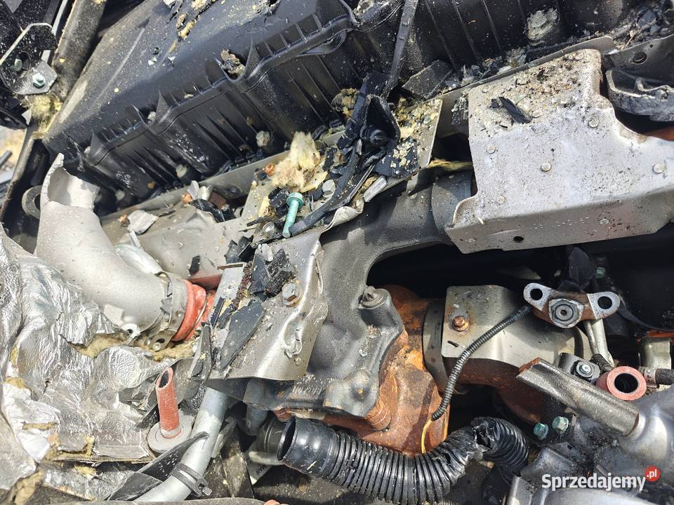 Man TGS 26330 2025r Rok produkcji 2025 kujawsko-pomorskie Chodecz