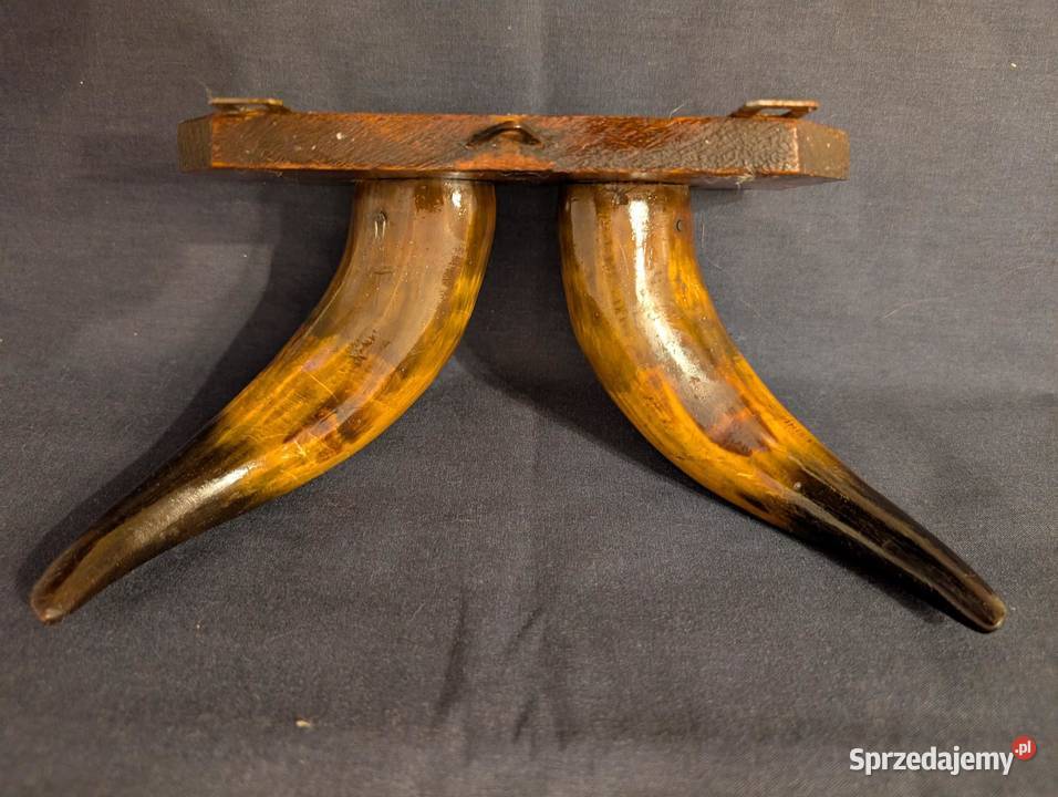 Vintage Wieszak Ścienny Polerowane Rogi Design Piła