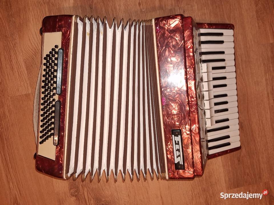 akordeon 80 flis Konin