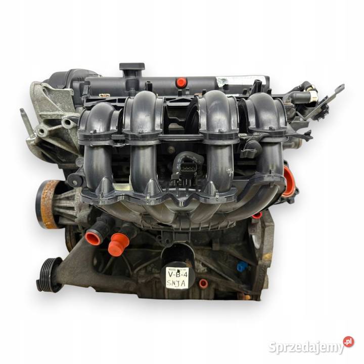 SILNIK SNJA Ford Fiesta VII MK7 125 82 benzyna lubelskie