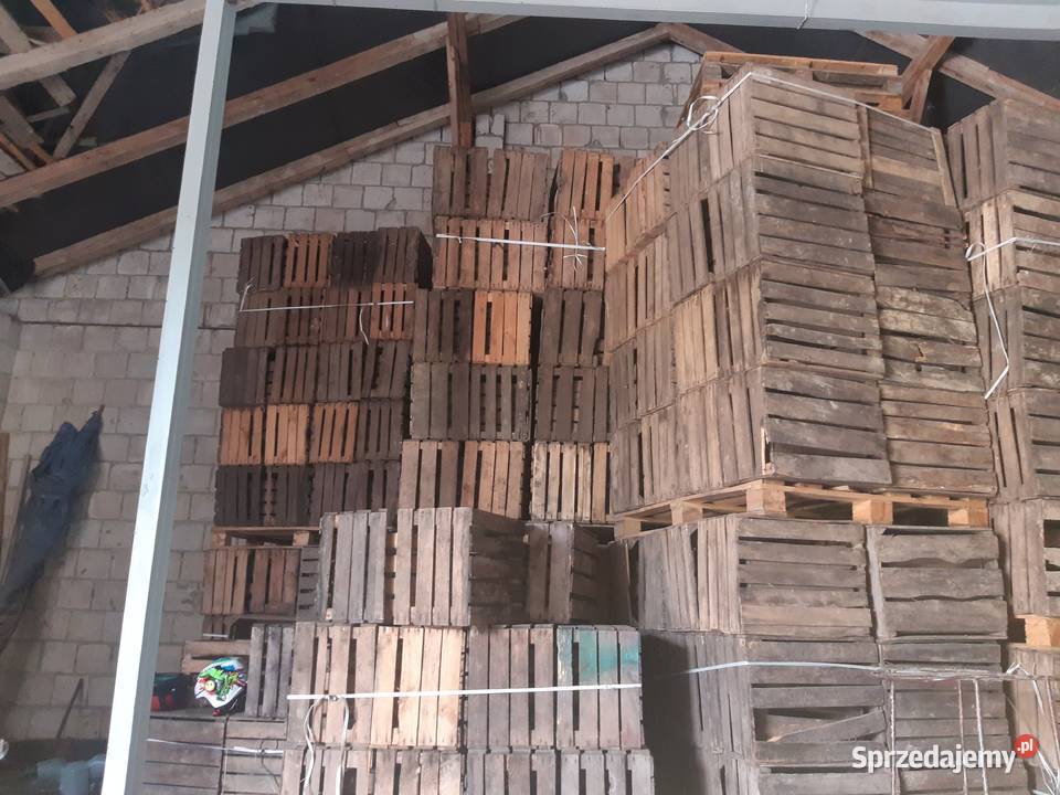 Skrzynki jedynki sprzedam Ok 2000 sztuk świętokrzyskie Malice sprzedam