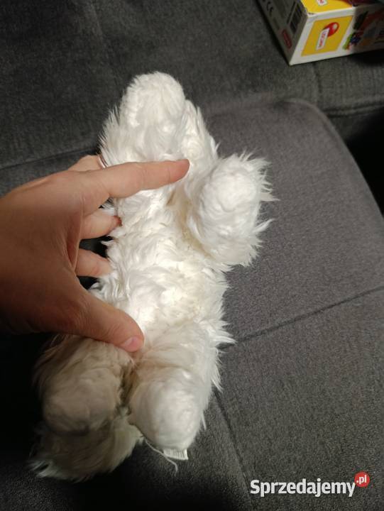 kot biały pluszak maskotka zabawka pluszowa Poznań