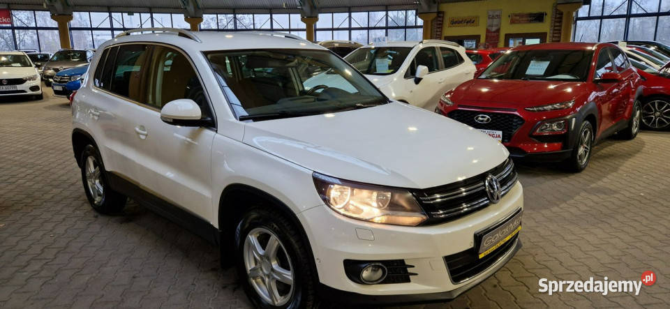 Volkswagen Tiguan opis 201112 W podanej Roczna serwisowany w ASO Mysłowice