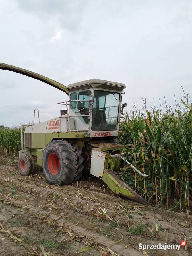 Sprzedam sieczkarnie claas jaguar 685 Sterdyń sprzedam