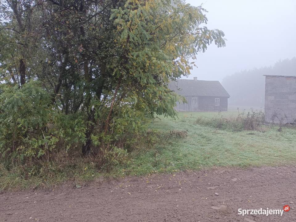 dzialka 17 ar z budynkami i mediami Grunty i działki łódzkie Konopnica