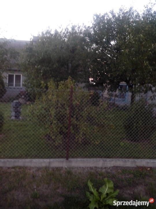 Sprzedam dom z ogrodem działką i zabudowaniami kujawsko-pomorskie Wola Skarbkowa