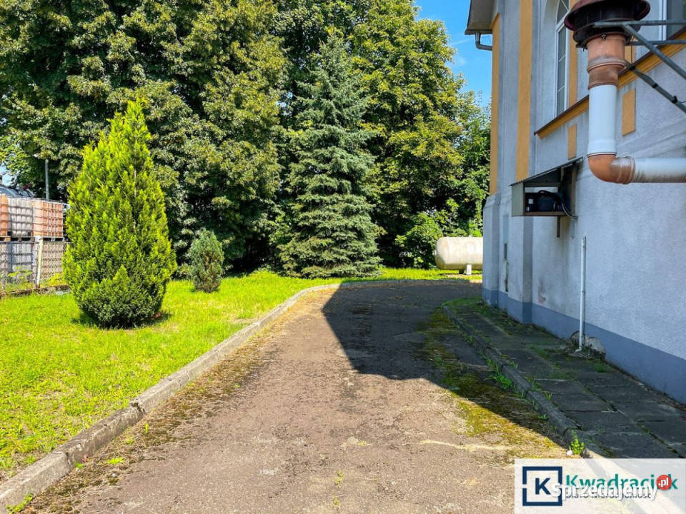 Lokal Jasło 3 Maja 487m2 487m2 sprzedam