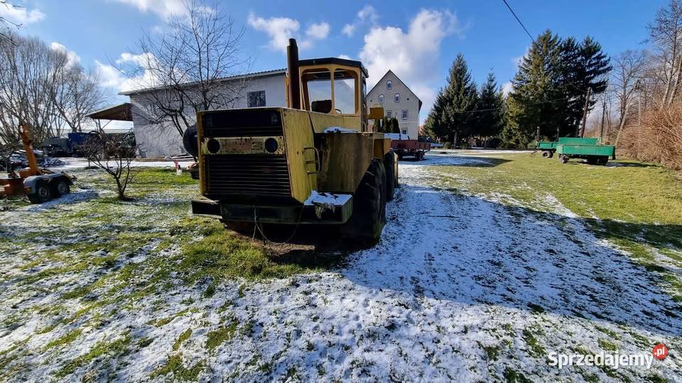 Hanomag D55 nie Lipniki