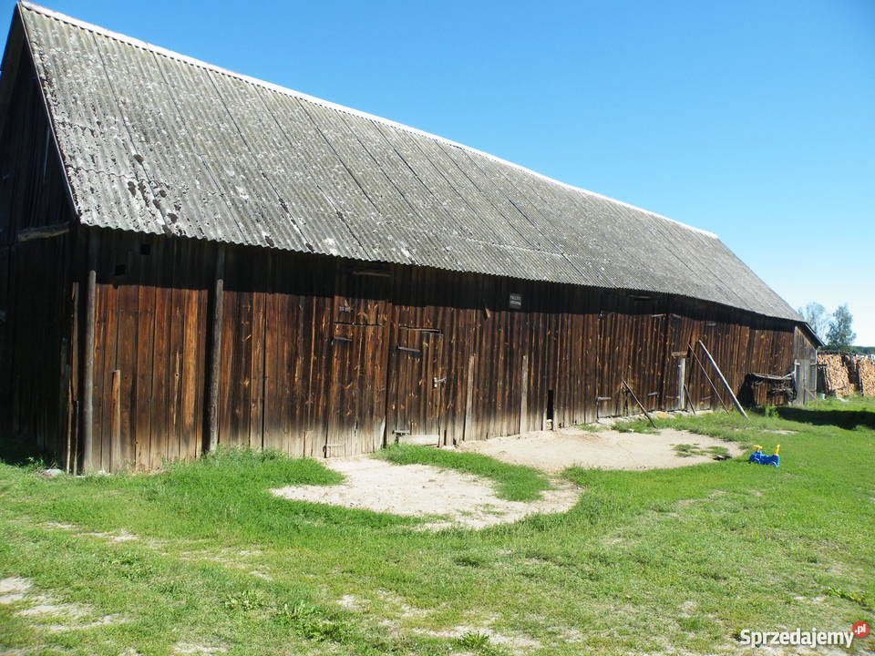 Domek pod lasem w Borach Tucholskich Brzozie