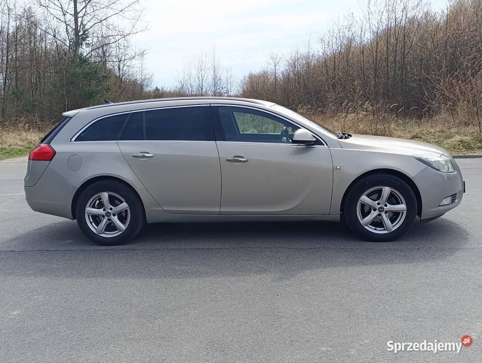 Opel Insignia A Motoryzacja
