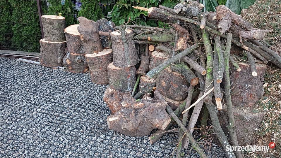 drewno świerkowe na opał ognisko pniaki grube Niepołomice sprzedam